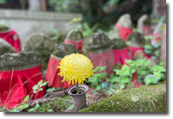 鳥戸野と観音寺